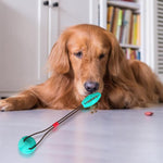 Load image into Gallery viewer, Multi-function Dog Pet Molar Ball Teeth Grinder Rubber Suction Cup Chew Biting Toy Pet Grinding Teeth Product Pet Training Toys