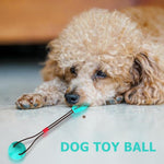 Load image into Gallery viewer, Multi-function Dog Pet Molar Ball Teeth Grinder Rubber Suction Cup Chew Biting Toy Pet Grinding Teeth Product Pet Training Toys