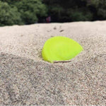 Load image into Gallery viewer, Mini Pocket Flexible Soft New Spin in Catching Game Flying Disc Catch Outside Game Great For kids & Adults