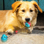 Load image into Gallery viewer, Multi-function Dog Pet Molar Ball Teeth Grinder Rubber Suction Cup Chew Biting Toy Pet Grinding Teeth Product Pet Training Toys