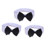 Load image into Gallery viewer, Butterfly Tie Cat Neckties Bow Necktie Collar 2 Size Dog Bow Ties Adjustable Grooming Product 1 PC Pet Accessories