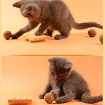 Load image into Gallery viewer, Pet Cat Natural Catnip Treat Ball Favor Home Chasing Toys Healthy Safe Edible Treating