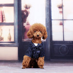 Load image into Gallery viewer, Dog Clothes Pet Shirt Striped Suit Jacket Coat Wedding Tuxedo Suit With Bow Tie Clothing 200