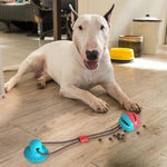 Load image into Gallery viewer, Multi-function Dog Pet Molar Ball Teeth Grinder Rubber Suction Cup Chew Biting Toy Pet Grinding Teeth Product Pet Training Toys