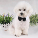 Load image into Gallery viewer, Butterfly Tie Cat Neckties Bow Necktie Collar 2 Size Dog Bow Ties Adjustable Grooming Product 1 PC Pet Accessories