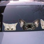 Load image into Gallery viewer, Funny 3D Cat Dog Half a face Peeking car sticker Wall background Art decals decorations cute animal wall stickers for home decor