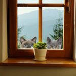 Load image into Gallery viewer, Funny 3D Cat Dog Half a face Peeking car sticker Wall background Art decals decorations cute animal wall stickers for home decor