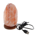 Load image into Gallery viewer, USB Salt Lamp Natural Shape Hand Carved Wooden Base Crystal Rock Colors Changing Night Light