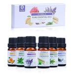 Load image into Gallery viewer, Pyrrla 6 pieces/set with Gift box 10ml Pure Essential Oil Aromatherapy Humidifier Lavender Rosemary Peppermint Orange Plant Oil