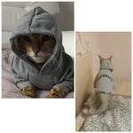 Load image into Gallery viewer, Security Cat Clothes Pet Cat Coats Jacket Hoodies For Cats Outfit Warm Pet Clothing Rabbit Animals Pet Costume
