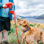 Load image into Gallery viewer, Aqua Leash Multi Function Dog Leash With Built-in Water Bottle Bowl &amp; Waste Bag Dispenser Pet Dog leash

