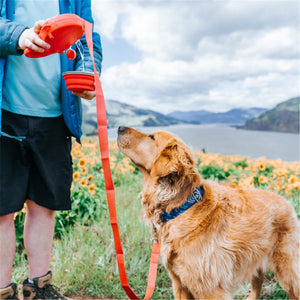 Aqua Leash Multi Function Dog Leash With Built-in Water Bottle Bowl & Waste Bag Dispenser Pet Dog leash