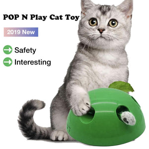 2019 New Cat Toy Pop Play Pet Toy Ball POP N PLAY Cat Scratching Device Funny Traning Cat Toys For Cat Sharpen Claw Pet Supplies