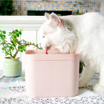 Load image into Gallery viewer, Automatic Electric Mute USB Cat Water Fountain Dog Pet Drinker Feeder Bowl with Filter Radar Induction Water Dispenser
