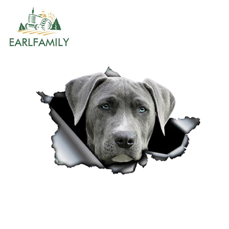 3D Car Sticker 13cm x 8.6cm Grey Weimaraner
