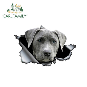 3D Car Sticker 13cm x 8.6cm Grey Weimaraner